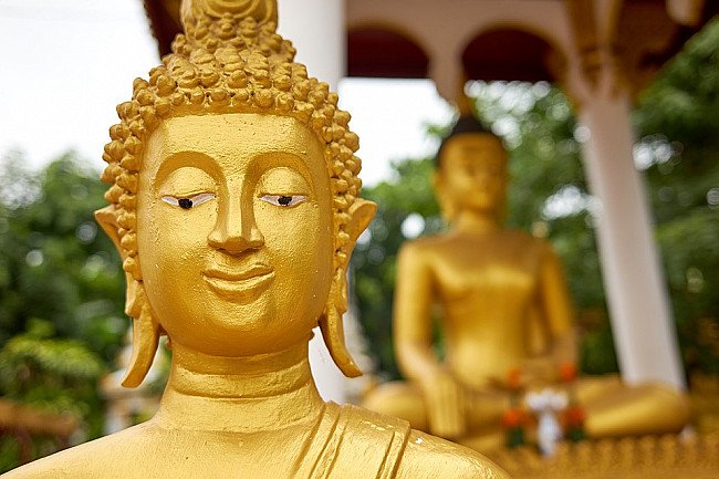 https://cdn.originalbuddhas.com/pages/uploads/108662/conversions/buddha-statue-large.jpg?utm_source=chatgpt.com
