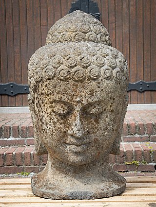 Großes Buddha-Kopf aus Lavastein aus Indonesien, Frontansicht mit Lockenhaar und geschlossenen Augen