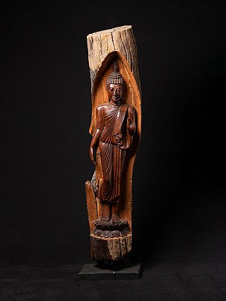 Thailändische stehende Buddha-Statue aus Teakholz, Vitarka-Mudra, Gesamtansicht in ausgehöhltem Stamm