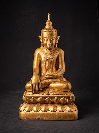 Burmese Shan Buddha statue in wood, seated on lotus base, full front view