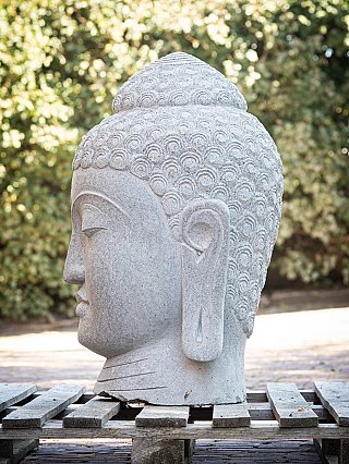Indonesian stone Buddha head, left side profile showing elongated ear and curled hair pattern