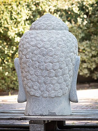 Rear view of the stone Buddha head with carved curl pattern and both earlobes