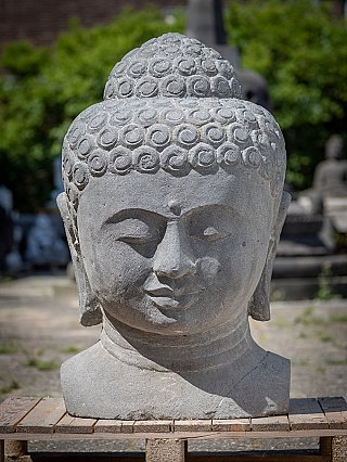 Groot Boeddhahoofd van lavasteen uit Indonesië, vooraanzicht met gesloten ogen