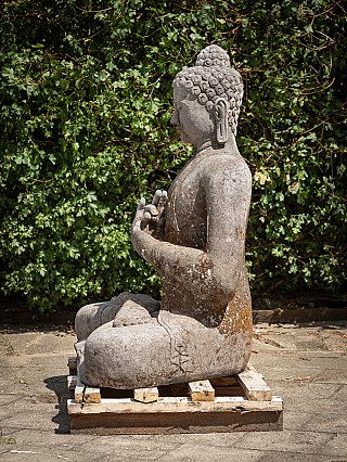Lava stone Buddha statue from Indonesia, seated in dharmachakra mudra, left side view