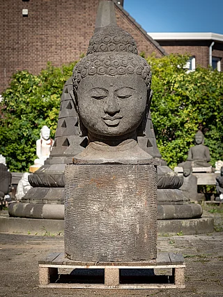 Old lava stone Buddha head on pedestal