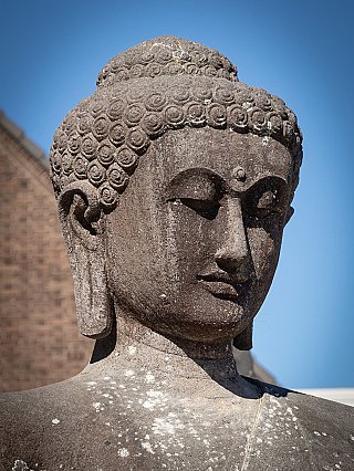 Detail van het gezicht van de Indonesische lavastenen Boeddha met gekrulde haarlokken
