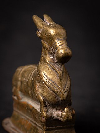Detail von Kopf und Hörnern des Bronze-Nandi, schräg von vorn