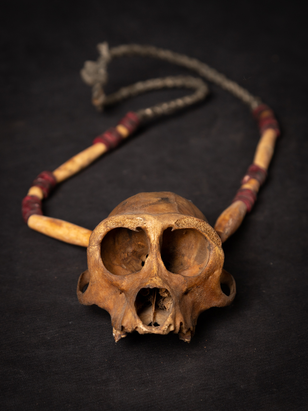 Monkey_skull_Original_buddhas_