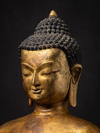 Three-quarter close-up of a Nepal bronze Buddha statue face, showing ear and curled hair