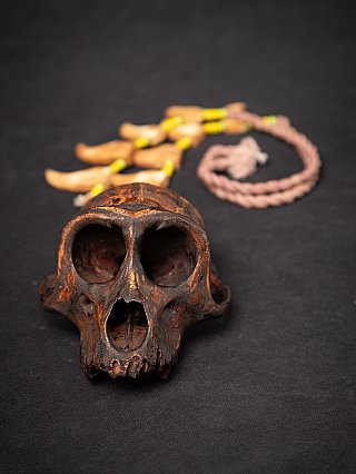 Old Naga necklace from Burma (Myanmar) with wooden monkey skull, front view on dark background