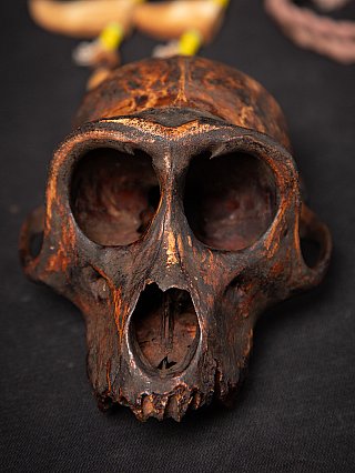 Close-up of the wooden monkey skull showing worn surface and deep eye sockets