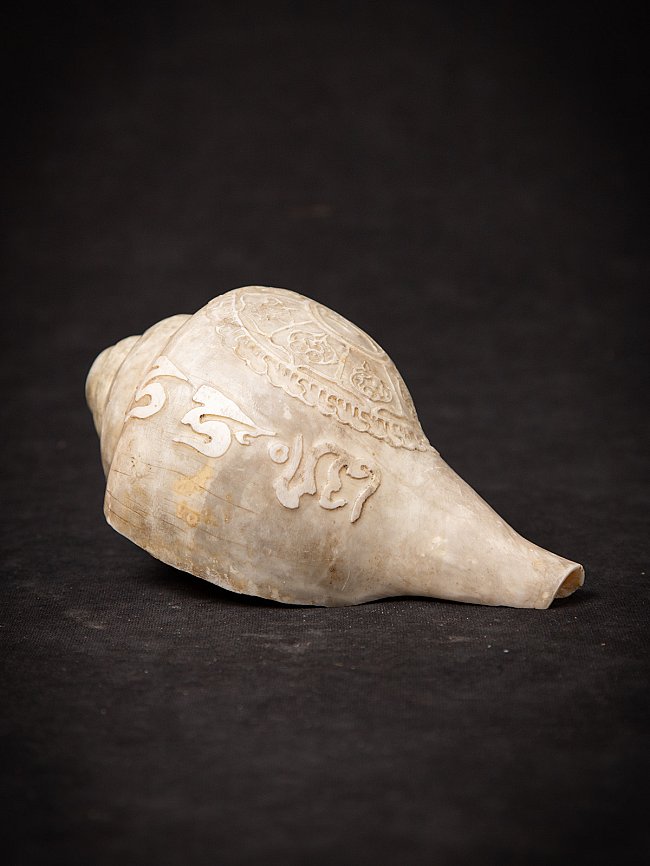 shell_special_figures_3898-1-2