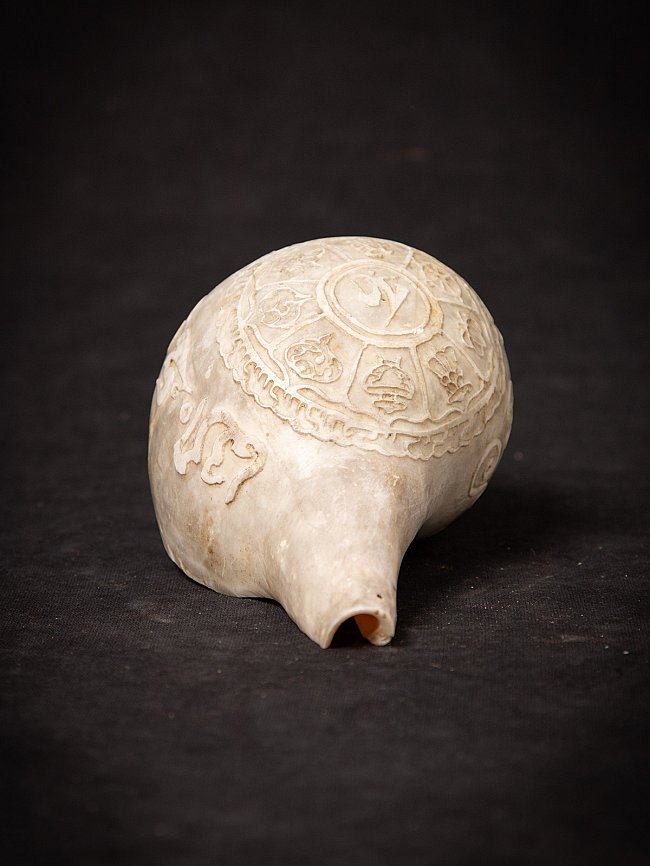 Old Tibetan Shankha shell from Tibet