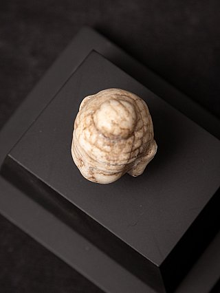 Small antique marble Buddha head on a pedestal