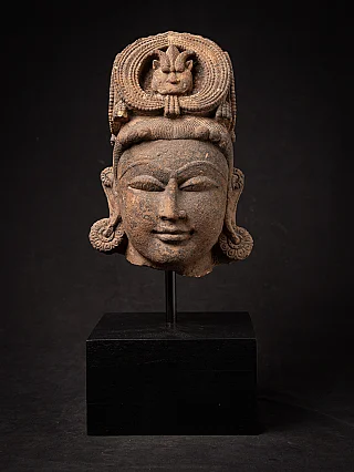Antiek zandstenen Shiva hoofd