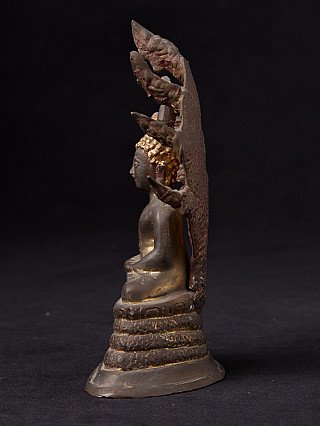 Thai bronze Buddha statue on Naga, left side profile with serpent hood