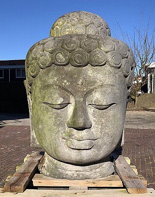 Grote lavastenen Boeddhakop uit Indonesië, vooraanzicht met gesloten ogen en krulhaar