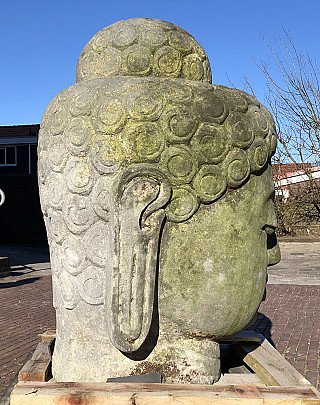 Lavastenen Boeddhahoofd uit Indonesië in rechts zijaanzicht met lang oor en haarpatroon