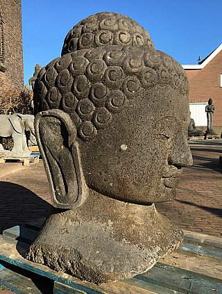 Indonesischer Buddha-Kopf aus Lavastein, rechte Seitenansicht mit langem Ohr und Profil