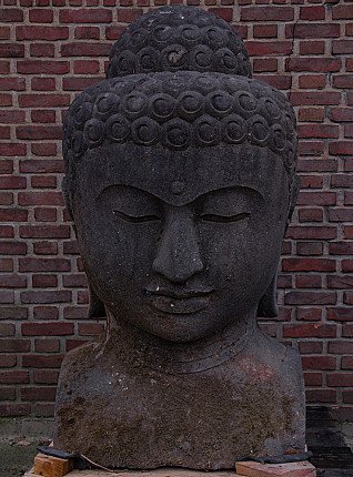 Indonesischer Buddha-Kopf aus Lavastein, mittleres 20. Jh., Frontalansicht mit geschlossenen Augen