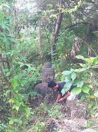 Sitzende Lavastein-Buddha-Statue im Wald, von dichter Vegetation umgeben beim Freilegen