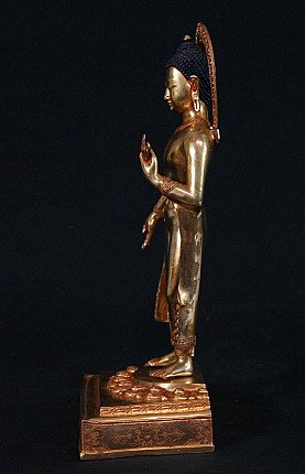 Nepal bronze Buddha statue standing, side profile view showing the raised hand